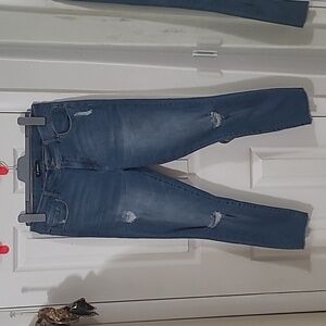 D. Jeans distressed jeans